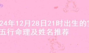 2024年12月28日21时出生的宝宝五行命理及姓名推荐