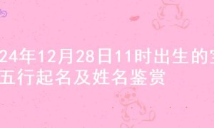 2024年12月28日11时出生的宝宝五行起名及姓名鉴赏