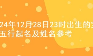 2024年12月28日23时出生的宝宝五行起名及姓名参考