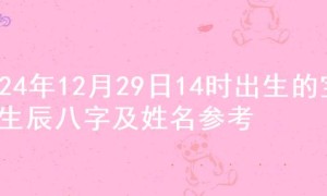 2024年12月29日14时出生的宝宝生辰八字及姓名参考