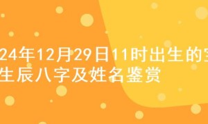 2024年12月29日11时出生的宝宝生辰八字及姓名鉴赏