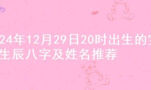 2024年12月29日20时出生的宝宝生辰八字及姓名推荐