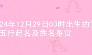 2024年12月29日03时出生的宝宝五行起名及姓名鉴赏