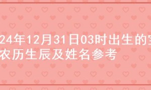 2024年12月31日03时出生的宝宝农历生辰及姓名参考