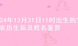 2024年12月31日11时出生的宝宝农历生辰及姓名鉴赏