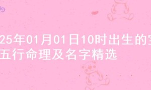 2025年01月01日10时出生的宝宝五行命理及名字精选