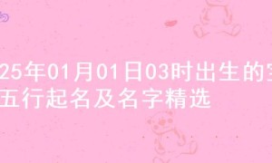 2025年01月01日03时出生的宝宝五行起名及名字精选