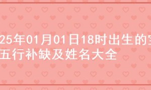 2025年01月01日18时出生的宝宝五行补缺及姓名大全