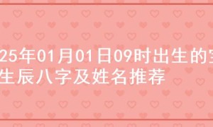 2025年01月01日09时出生的宝宝生辰八字及姓名推荐