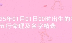 2025年01月01日00时出生的宝宝五行命理及名字精选