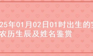 2025年01月02日01时出生的宝宝农历生辰及姓名鉴赏