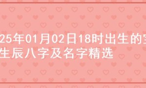 2025年01月02日18时出生的宝宝生辰八字及名字精选