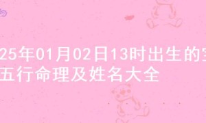 2025年01月02日13时出生的宝宝五行命理及姓名大全