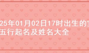 2025年01月02日17时出生的宝宝五行起名及姓名大全