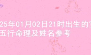 2025年01月02日21时出生的宝宝五行命理及姓名参考