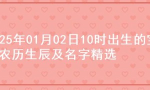 2025年01月02日10时出生的宝宝农历生辰及名字精选