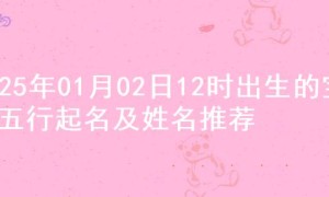 2025年01月02日12时出生的宝宝五行起名及姓名推荐