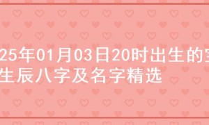 2025年01月03日20时出生的宝宝生辰八字及名字精选