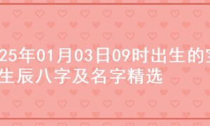 2025年01月03日09时出生的宝宝生辰八字及名字精选