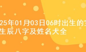 2025年01月03日06时出生的宝宝生辰八字及姓名大全