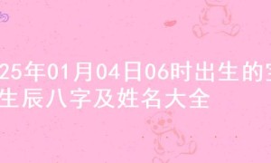 2025年01月04日06时出生的宝宝生辰八字及姓名大全