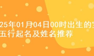 2025年01月04日00时出生的宝宝五行起名及姓名推荐