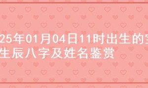 2025年01月04日11时出生的宝宝生辰八字及姓名鉴赏