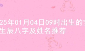 2025年01月04日09时出生的宝宝生辰八字及姓名推荐