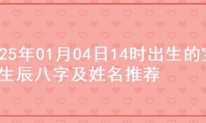 2025年01月04日14时出生的宝宝生辰八字及姓名推荐