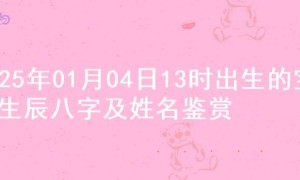 2025年01月04日13时出生的宝宝生辰八字及姓名鉴赏