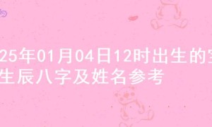 2025年01月04日12时出生的宝宝生辰八字及姓名参考