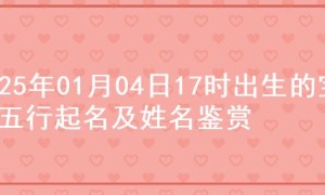 2025年01月04日17时出生的宝宝五行起名及姓名鉴赏