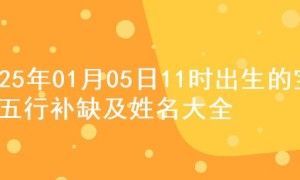 2025年01月05日11时出生的宝宝五行补缺及姓名大全