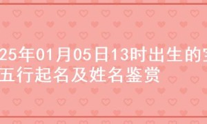 2025年01月05日13时出生的宝宝五行起名及姓名鉴赏