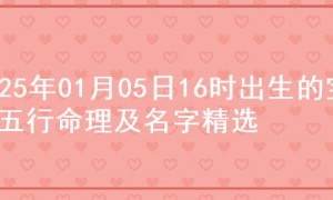 2025年01月05日16时出生的宝宝五行命理及名字精选