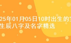 2025年01月05日10时出生的宝宝生辰八字及名字精选