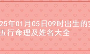 2025年01月05日09时出生的宝宝五行命理及姓名大全