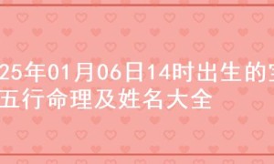 2025年01月06日14时出生的宝宝五行命理及姓名大全