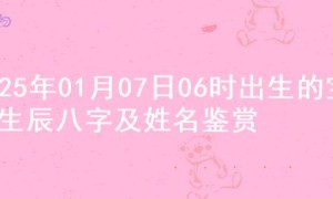 2025年01月07日06时出生的宝宝生辰八字及姓名鉴赏