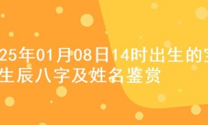 2025年01月08日14时出生的宝宝生辰八字及姓名鉴赏