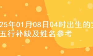 2025年01月08日04时出生的宝宝五行补缺及姓名参考