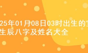 2025年01月08日03时出生的宝宝生辰八字及姓名大全