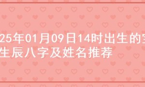 2025年01月09日14时出生的宝宝生辰八字及姓名推荐