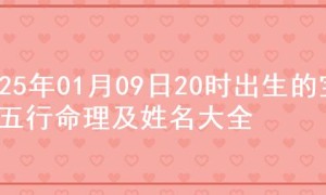 2025年01月09日20时出生的宝宝五行命理及姓名大全