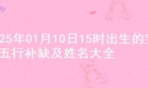 2025年01月10日15时出生的宝宝五行补缺及姓名大全