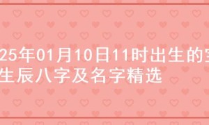 2025年01月10日11时出生的宝宝生辰八字及名字精选