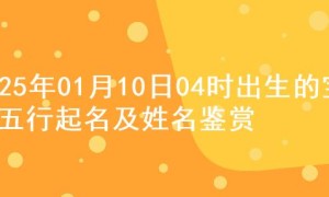 2025年01月10日04时出生的宝宝五行起名及姓名鉴赏