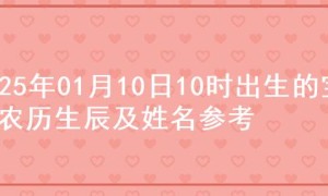 2025年01月10日10时出生的宝宝农历生辰及姓名参考