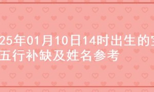 2025年01月10日14时出生的宝宝五行补缺及姓名参考