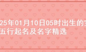 2025年01月10日05时出生的宝宝五行起名及名字精选